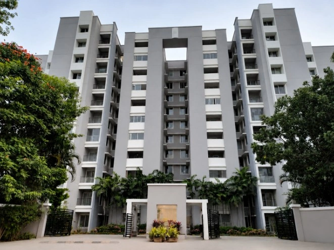 Sobha Cinnamon